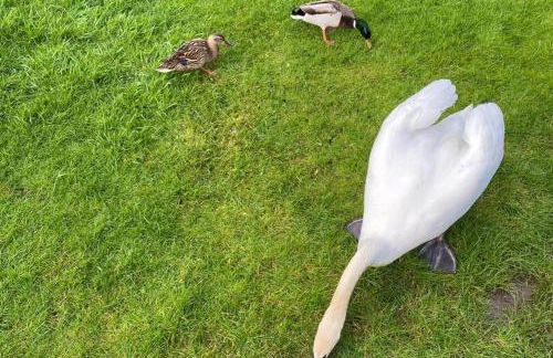 Lakeland Lodge- 3Bed-2 Bath- Private Patio - Foto 24