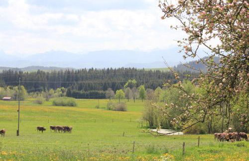 Kuh Heimat - Bergblick - Terrasse - Photo 12