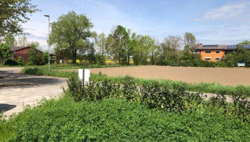 Reiterhof Kronwitter - Photo 5