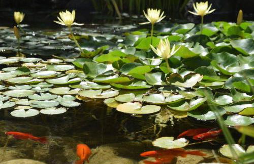 Live the Mid Mod Life at Mariposa Palms - Foto 4