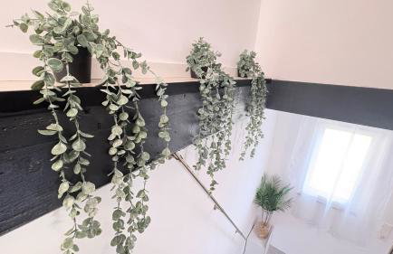 Ferienwohnung Melody - Foto 15