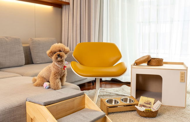 Somerset Jeju Shinhwa World - Foto 26