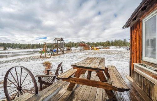 Cabin in Colorado NTL Forest - Foto 9