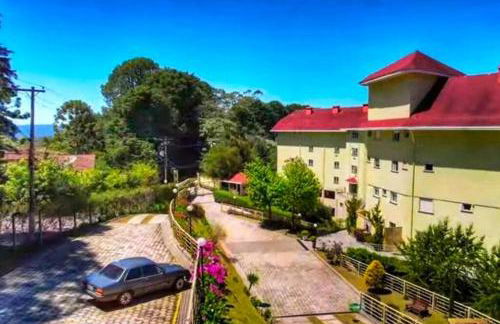 Canto araucarias - Foto 14