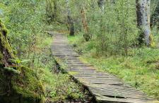 La petite Maison du Bonheur & Jacuzzi - Photo 25