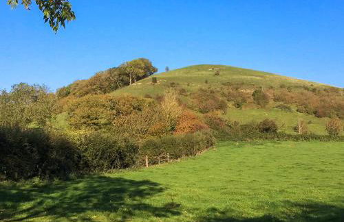 Goose Feather Barn, Wedmore luxury cottage for two - Foto 27