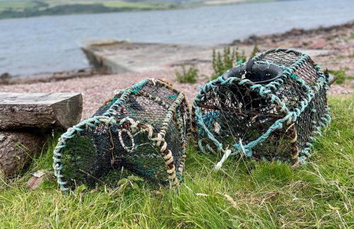 Panoramic Lookout, Davaar Island - Foto 46