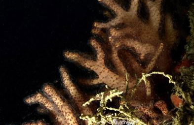 Casa Mariella - Foto 33