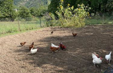 Casa CampoSelvatico - Foto 34