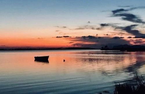 Fiore di Marte - Foto 28