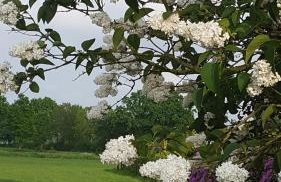 Ferienwohnungen Warnken - Foto 34