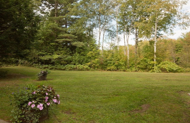 1BR Topnotch Condo - Photo 14