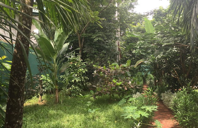 Amadi Villa - Photo 20