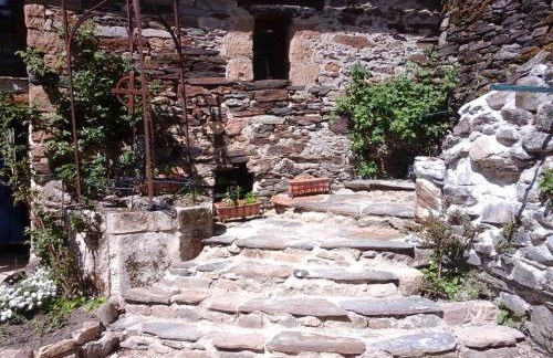 Les pruniers - Foto 17