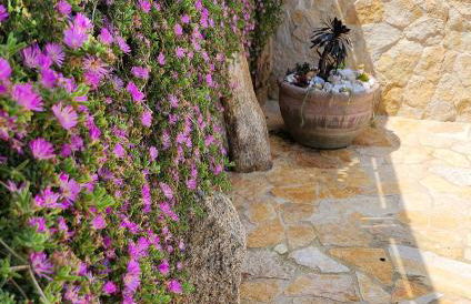 Le Pavoncelle - Foto 28