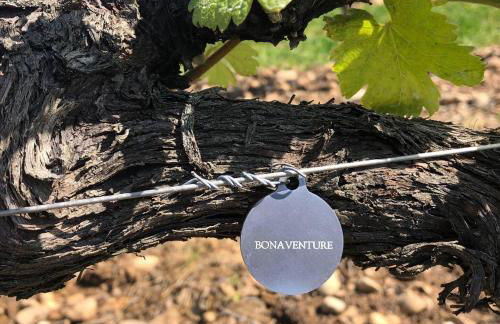 Hôtel Gîte La Bonaventure Jezainville - Foto 29