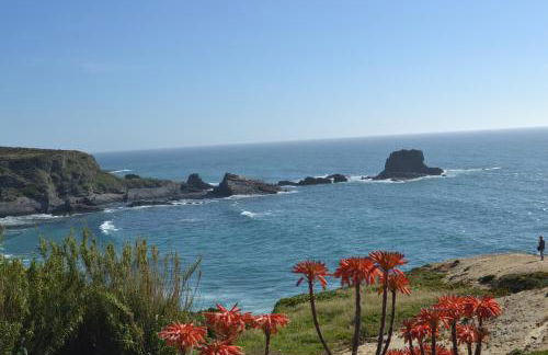 Casa Alentejana - Foto 16