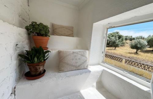 Monte da Broa - Foto 20