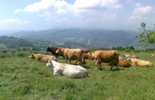 Tuscany Nature Relax - Photo 30