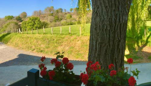 La Grange d'Etxexuria - Foto 5, Garden view