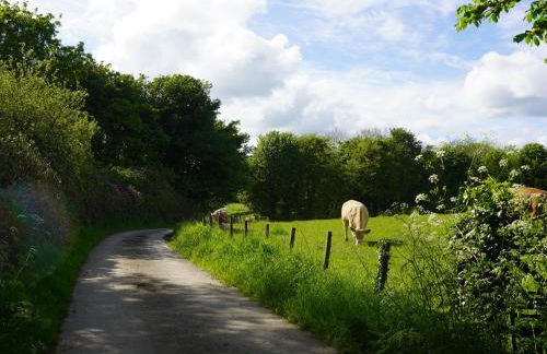 Roe Deer Lodge - Foto 26