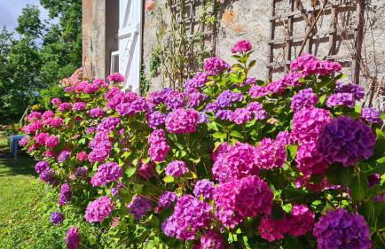 Villa 3 chambres à Saint-Cirgues-de-Malbert avec piscine - Foto 43