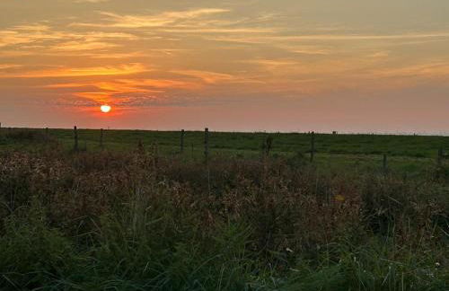 Strandmeerchen - Foto 28