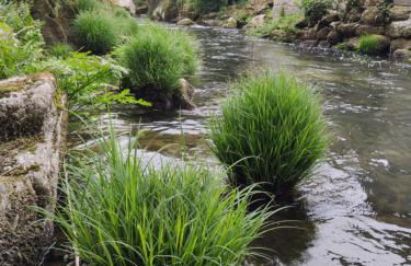 Rilhadas Casas de Campo - Foto 74