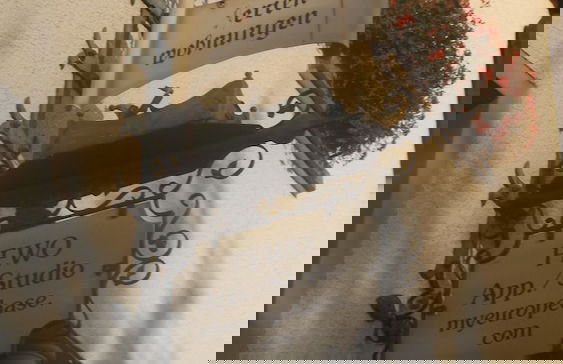 Mosel Panorama - Foto 49