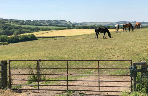 The Granary - Photo 46