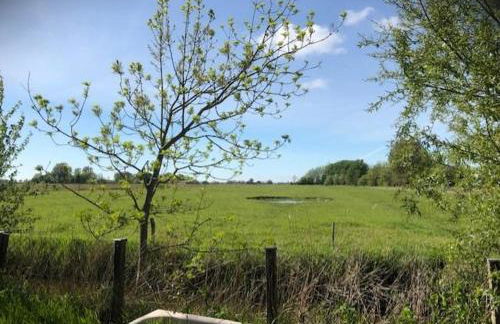 Reetdachhaus Rüxbüll - Foto 17