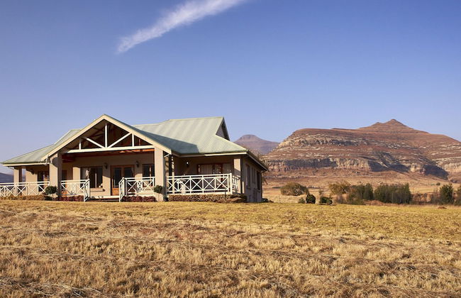 Dynasty Red Mountain Ranch - Photo 36