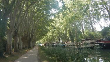 T3 atypique au rez de chaussée - Foto 4