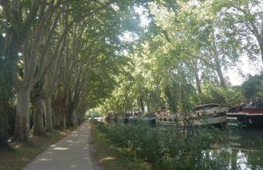 T3 atypique au rez de chaussée - Foto 4