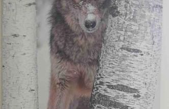 Appartement à Megève - Foto 11