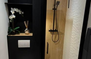 Papillon de cimiez - Foto 6