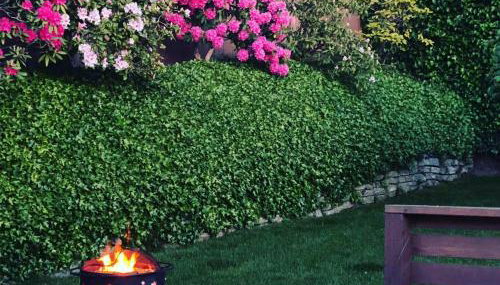 Garden Retreat • Deck Dining + Fire Pit - Foto 2