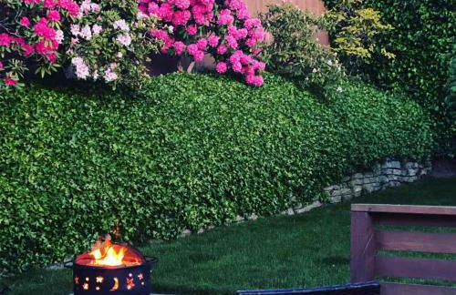 Garden Retreat • Deck Dining + Fire Pit - Foto 2