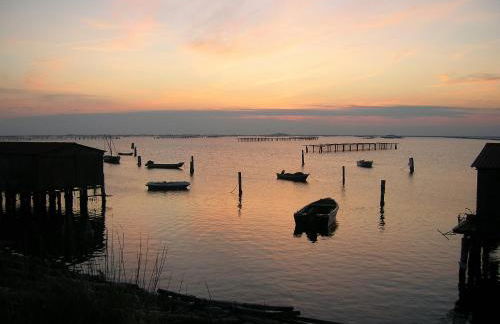 Il Piccolo Albero - Foto 35