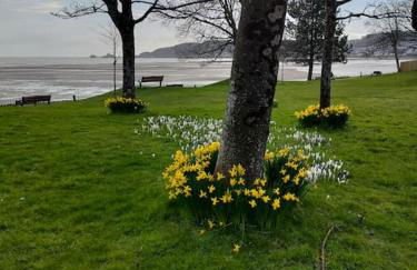 Fishermen's cottage with log burner, 2 bathrooms & sea views from garden terraces - Foto 51
