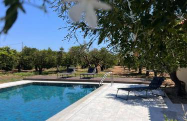 Tzortzinas Cottage - Foto 8