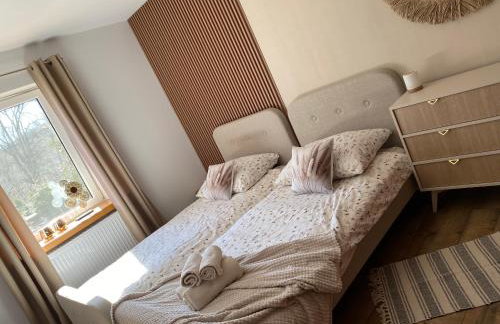 APARTAMENT 1 Nad rzeką Krutyń - Foto 30