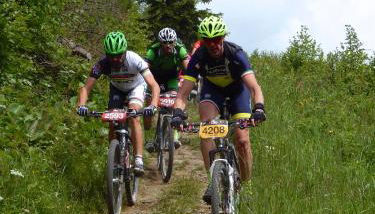 Appartamento Sellaronda - Foto 3