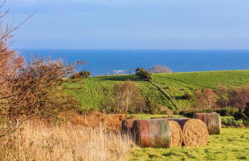Chestnut Barn - Photo 51