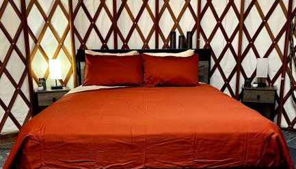 Incredible Equipped Yurt Amazing for a Glamping Experience in East Meredith, New York - Photo 3