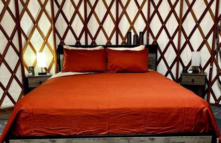 Incredible Equipped Yurt Amazing for a Glamping Experience in East Meredith, New York - Foto 3