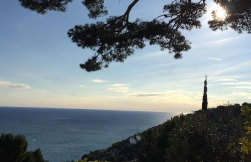 Uliveto Saglietto Agriturismo a Poggi Apartments - Foto 127