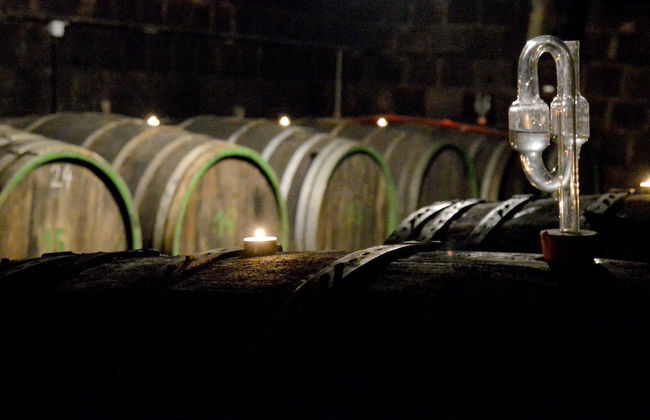 Weinvilla Heinrichshof - Foto 28