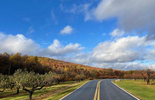Entire Mountain Cottage Near Scenic Hiking Trails - Photo 68