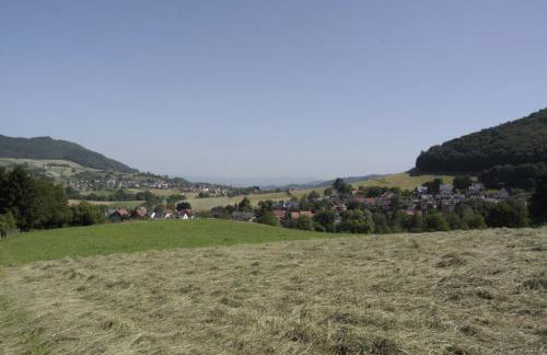 Familien-Appartement Schwarzwald bei Freiburg mit bis zu 4 Schlafzimmern - Foto 43